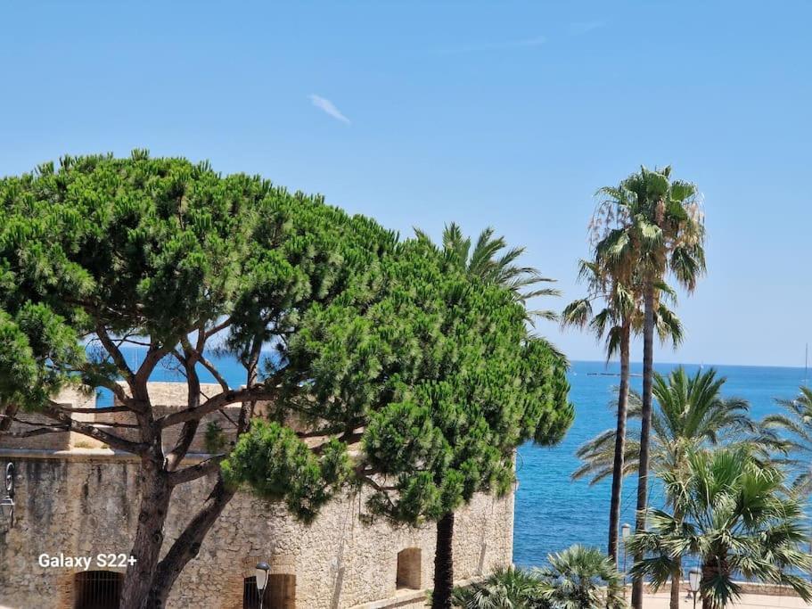Cozy Studio, Sea View, Old Town, Near Beaches Antibes Esterno foto